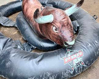 PBR large pool Bucking Bull