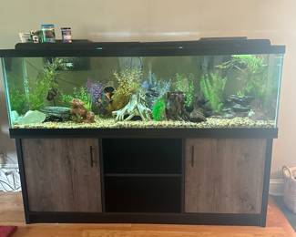 Very Large Fish Tank with Fish