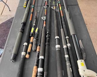 Really Nice Fishing Poles - Serious Fish!