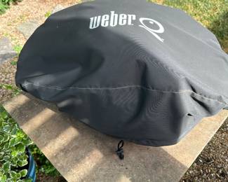 Weber tabletop grill
