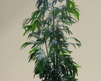 Large Silk plant with brass pot