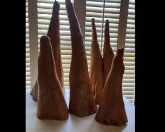 A collection of mid century sculptural Louisiana cypress knees