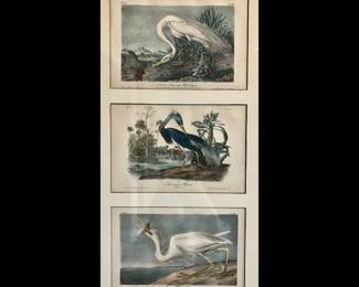 Group of three first edition John James Audubon "Birds of America" octavo sized hand colored lithographs, circa 1840