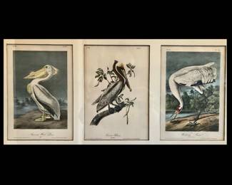 Group of three first edition John James Audubon "Birds of America" octavo sized hand colored lithographs, circa 1840