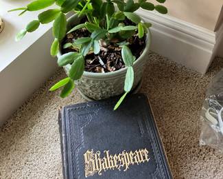 Cactus in McCoy pot, leather bound Shakespeare