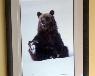 Thomas Mangelsen signed Limited Edition “Teton Teddy” 20” x 30” matted and framed print.