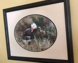 Thomas Mangelsen signed Limited Edition “First Day” 10” x 14” matted and framed print.