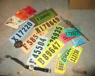 Vintage Hunting License