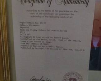 Alexander Caider "Flying Colors"