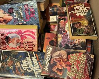 Vintage romance novels from the 70s and 80s. Some fave authors like Kathleen Woodweis (?), Johana Lindsey, Rosemary Rogers and more!