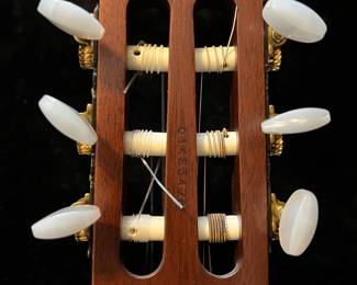 Godin Multiac ACS Slim SA with 13-Pin Connection & Hardcase