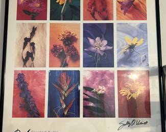 Crested Butte Wildflower Festival Poster
Photography and Design by Sally O. Vulich