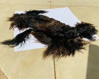 Yak Pelt