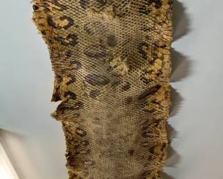 Anaconda Skin