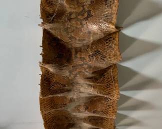 African Rock Python Skin