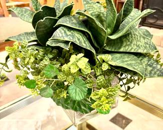 Custom succulent arrangement