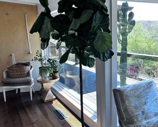 tall artificial ficus - 7'