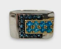 Fine Beautiful Mens Sterling Silver Blue Gemstone Pave Statement Ring Size 11
