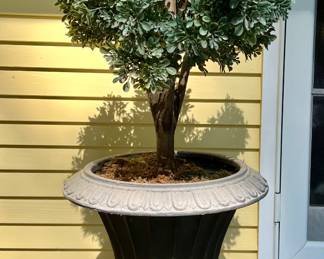 (2) Lightweight Planters with Faux Boxwood