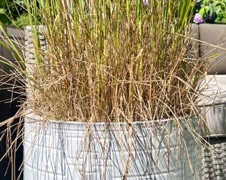 Large Texturized Planter