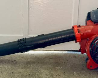 Echo Leaf Blower