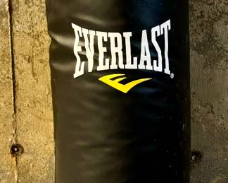 Everlast Heavy Bag