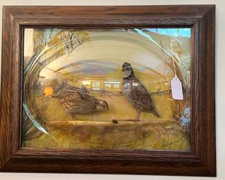 Bubble glass pheasant taxidermy