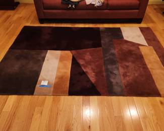 Area rug (apologies for the dust- they took the vacuum)