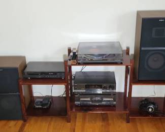 Technics Sony Speakers