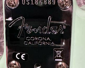 FENDER 2017 Limited Edition American Professional Telecaster® with Solid Rosewood Neck (Surf Green) With FENDER Carrying Case