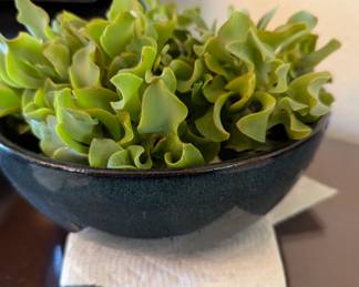 IF A PLANT IS SAD, DO OTHER PLANTS PHOTOSYMPATHISE WITH IT...