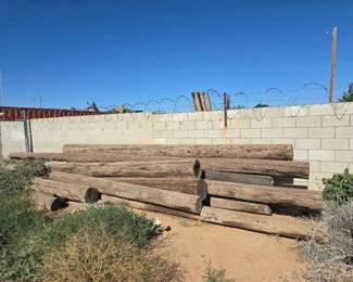 #5012 • Telephone Poles
