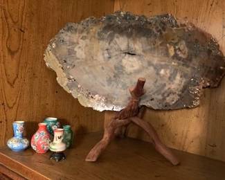 Polished Petrified Wood