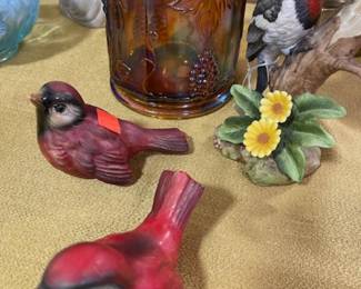 Goebel birds, Andrea woodpecker