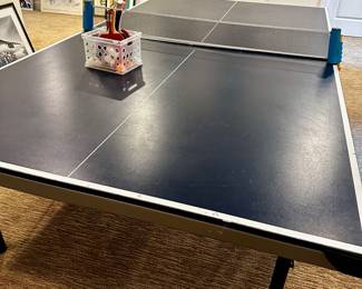 Ping Pong Table
