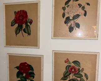 Vintage Framed Botanical Prints 