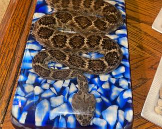 Large incased Lucite Rattle Snake