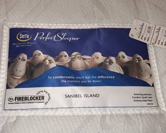 Available for pre-sale now. Serta Perfect Sleeper queen box spring and mattress set $65.00. Call 407-590-8471 to view/purchase.