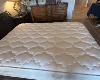 Available for pre-sale now. Electric Queen Bed $145.00, (Iron and Wicker Decorator Frame is priced separately $45.00) . Call 407-590-8471 to view/purchase.