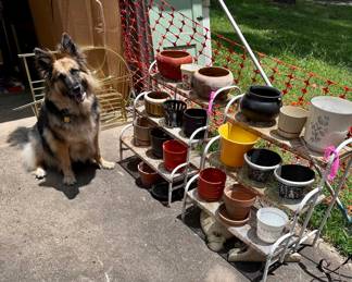 Flower Pots and Stands