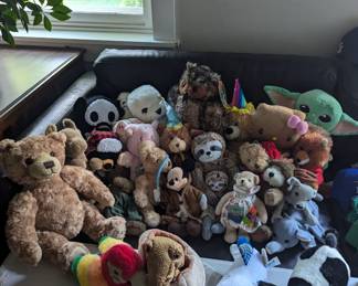 Adopt a no hassle pet!