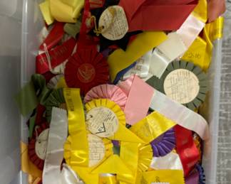 Equestrian Ribbons.