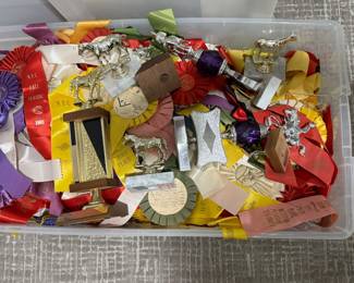 Equestrian Ribbons and Trophies.