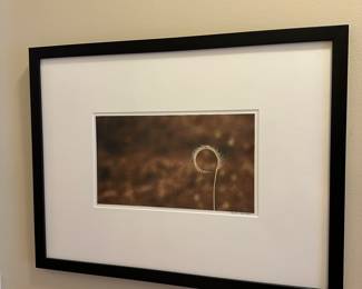 T178 - $40. Signed & Framed Photograph. Elizabeth Hyer Roce