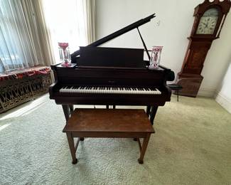 Starck Player Piano 