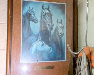 horse pitcure 