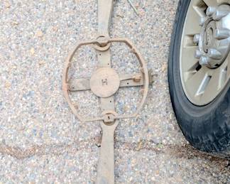 bear trap 