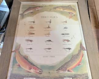 fish picture 