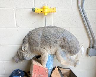 taxidermy 