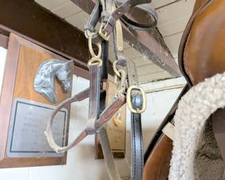 horse gear supply horse tack equine saddles ropes reigns bits etc 